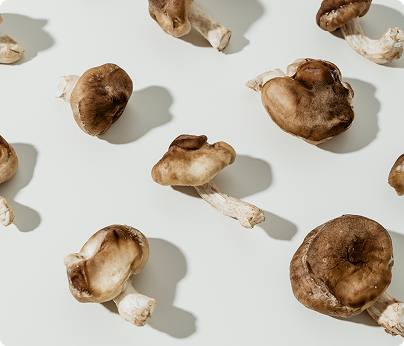 2024 베스트 제품 TOP 10